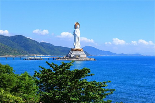 贡鱼