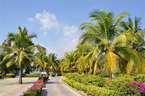 和之悦外带寿司