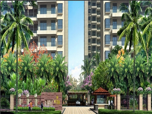 味管家玛咖鸡黄饭