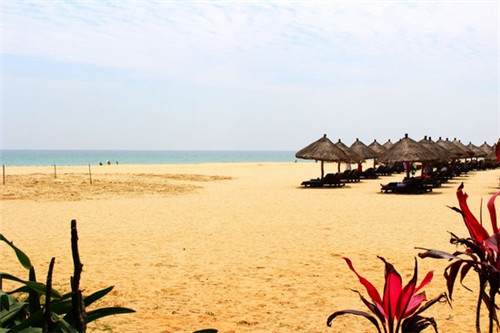 长春黄金手撕面包