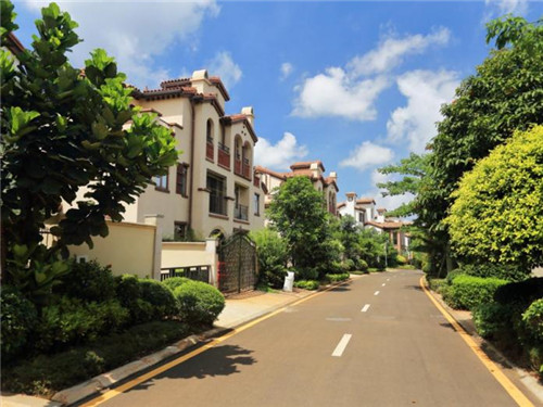 在古浪县加盟劲享解酒植物饮料开店有什么前景，古浪县投资新奇独特行业有前景吗