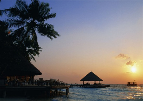 猫爪舞蹈加盟费多少