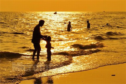 2025园林景观连锁店哪家品牌还能开店，优惠的园林景观设计企业