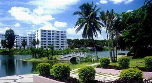 CF手游怎么玩风之子（cf手游风之子教学）