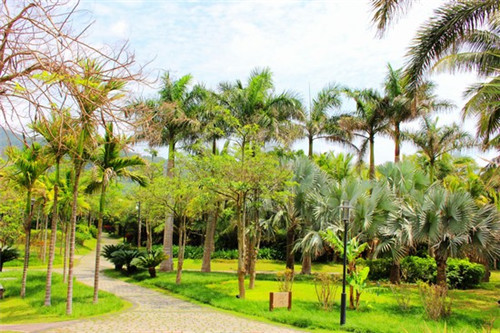 你的男孩tt有什么歌（你的男孩tt哪个厂牌）