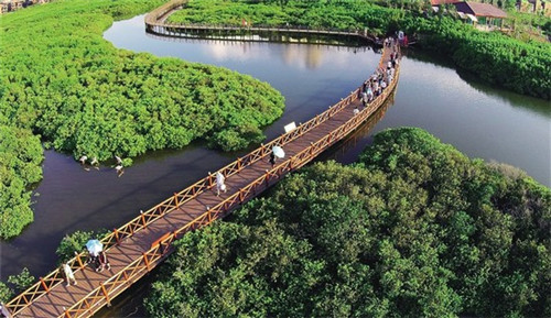 十大古典戏法是什么剧种（古典戏法搬运揭秘）