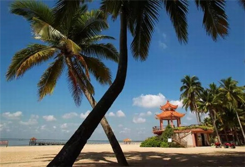 最火的网页游是什么游戏（最火热网页游戏）