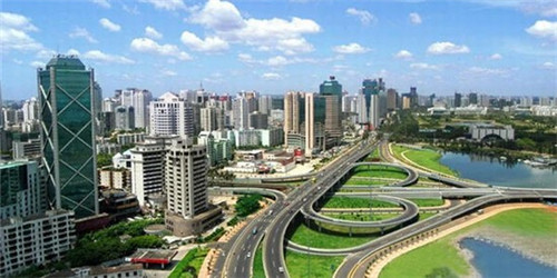 清炒韭菜炒豆干做法大全（韭菜炒豆干怎么炒好吃窍门）